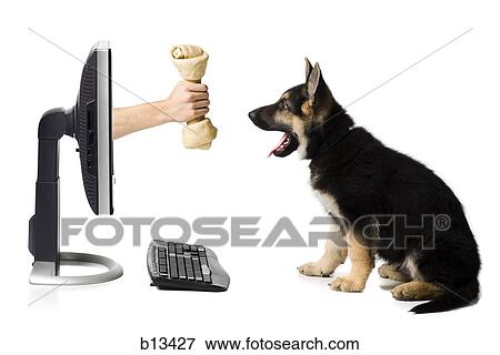 Hand with bone in monitor with German shepherd puppy View Large Photo Image Stock Photo - Hand with bone in monitor with German shepherd puppy. Fotosearch