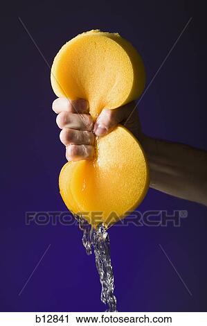 Stock Image - Hand wringing a sponge. Fotosearch