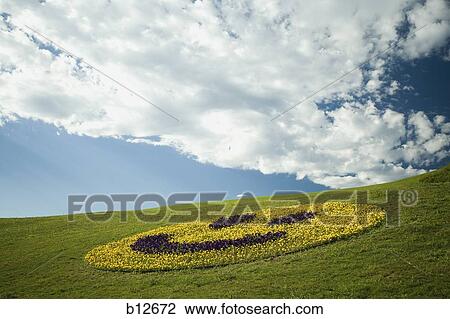 Happy face floral display View Large Photo Image Stock Image - Happy face floral display. Fotosearch