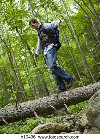 Low angle view of a young man walking on a fallen tree View Large Photo Image Stock Photograph - Low angle view of a young man walking on a fallen tree. Fotosearch