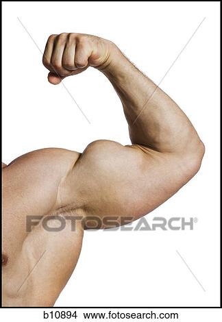 Male bodybuilder posing View Large Photo Image Picture - Male bodybuilder posing. Fotosearch