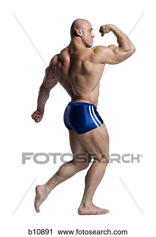 Male bodybuilder posing View Large Photo Image Stock Image - Male bodybuilder posing. Fotosearch