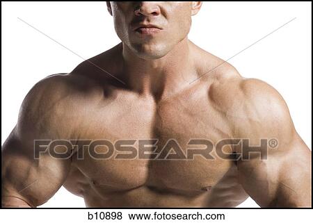 Stock Photo - Male bodybuilder posing. Fotosearch