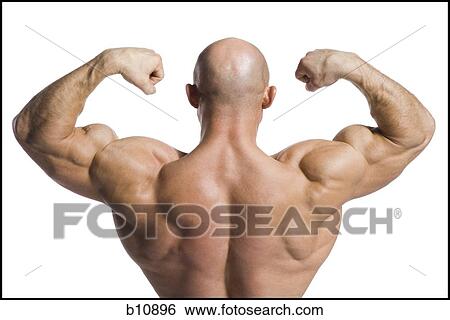 Male bodybuilder posing View Large Photo Image Stock Photograph - Male bodybuilder posing. Fotosearch