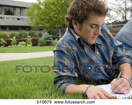 Male student studying outdoors View Large Photo Image Stock Photo - Male student studying outdoors. Fotosearch