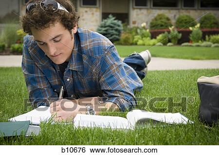 Male student studying outdoors View Large Photo Image Stock Photograph - Male student studying outdoors. Fotosearch