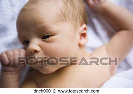 Newborn baby lying down View Large Photo Image Stock Image - Newborn baby lying down. Fotosearch