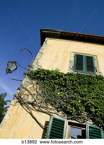 Stock Image - Old building with ivy and lamp. Fotosearch