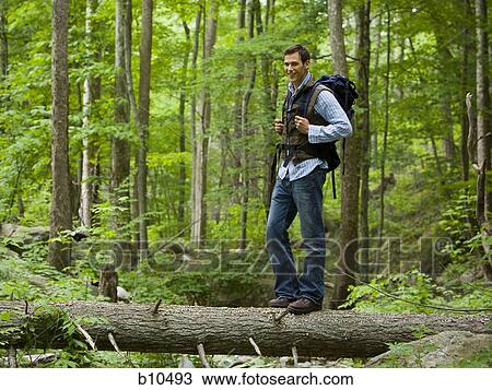 Portrait of a young man standing on a fallen tree View Large Photo Image Stock Image - Portrait of a young man standing on a fallen tree. Fotosearch