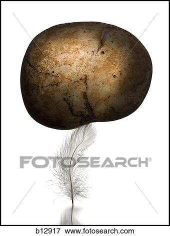 Rock and feather View Large Photo Image Stock Photo - Rock and feather. Fotosearch