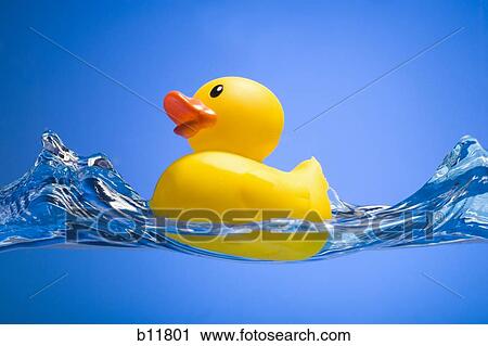Rubber duck View Large Photo Image Stock Image - Rubber duck. Fotosearch