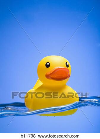 Rubber duck View Large Photo Image Stock Photo - Rubber duck. Fotosearch