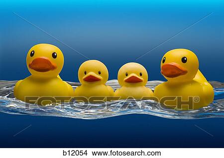 Picture - Rubber ducks. Fotosearch