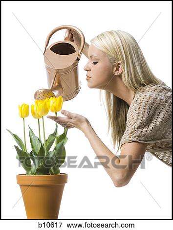 Side profile of a young woman watering flowers with a watering can View Large Photo Image Stock Photo - Side profile of a young woman watering flowers with a watering can. Fotosearch
