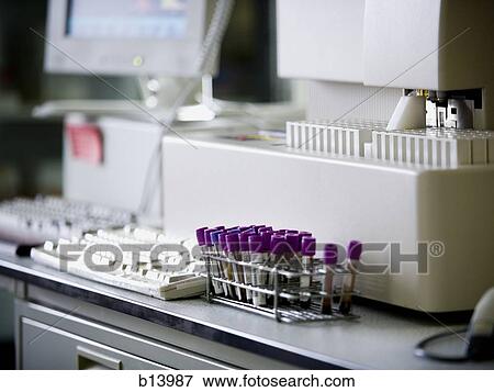 Test tubes in laboratory View Large Photo Image Stock Photo - Test tubes in laboratory. Fotosearch