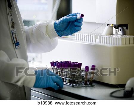 Test tubes in laboratory View Large Photo Image Stock Photo - Test tubes in laboratory. Fotosearch
