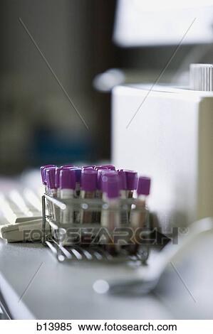 Test tubes in laboratory View Large Photo Image Stock Photography - Test tubes in laboratory. Fotosearch