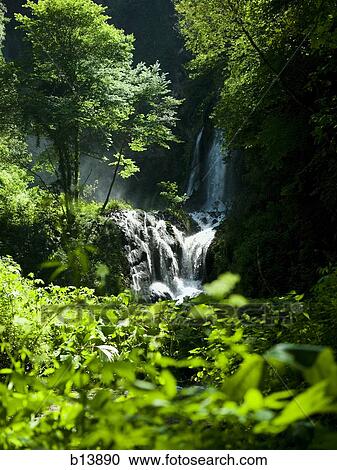 Waterfall in forest View Large Photo Image Stock Image - Waterfall in forest. Fotosearch