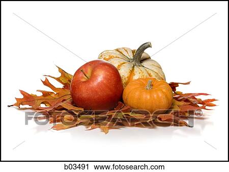 Autumn squash View Large Photo Image Stock Image - Autumn squash. Fotosearch
