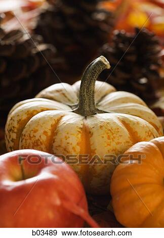 Stock Photo - Autumn squash. Fotosearch