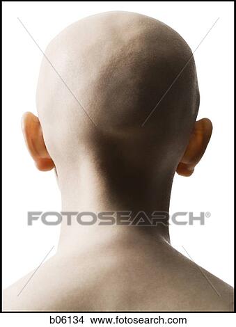 Picture - Bald woman from behind. Fotosearch