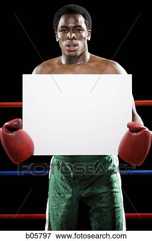 Boxer holding a blank sign View Large Photo Image Stock Photo - Boxer holding a blank sign. Fotosearch