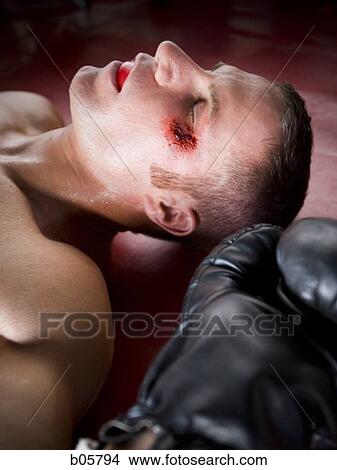 Picture - Boxer. Fotosearch