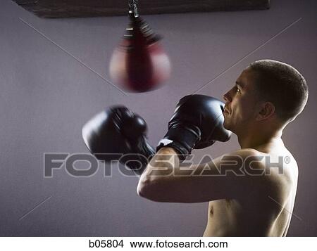 Picture - Boxer. Fotosearch