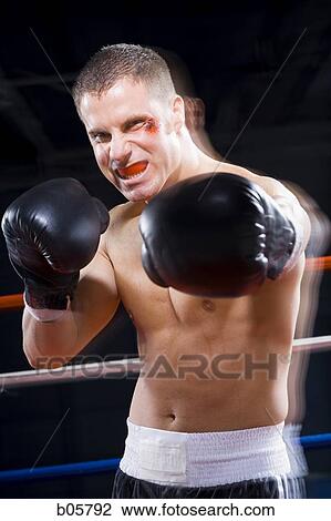 Boxer View Large Photo Image Stock Image - Boxer. Fotosearch