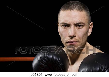 Boxer View Large Photo Image Stock Image - Boxer. Fotosearch