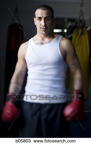 Boxer View Large Photo Image Stock Image - Boxer. Fotosearch