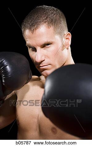 Boxer View Large Photo Image Stock Photo - Boxer. Fotosearch