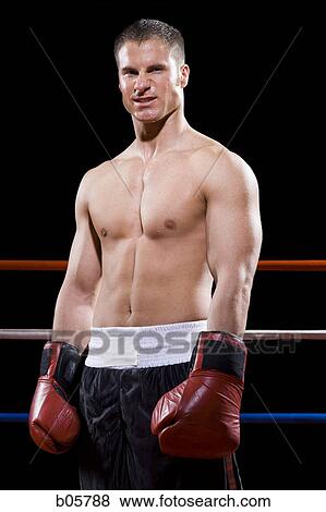 Boxer View Large Photo Image Stock Photo - Boxer. Fotosearch