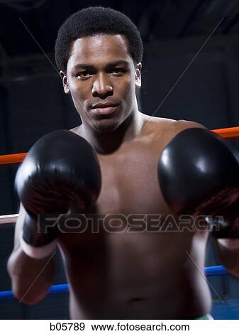 Boxer View Large Photo Image Stock Photo - Boxer. Fotosearch