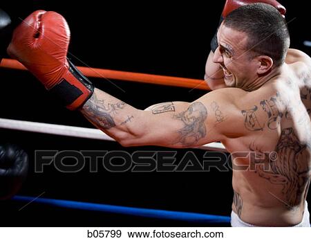 Stock Photo - Boxer. Fotosearch