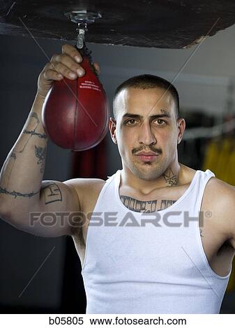 Stock Photography - Boxer. Fotosearch