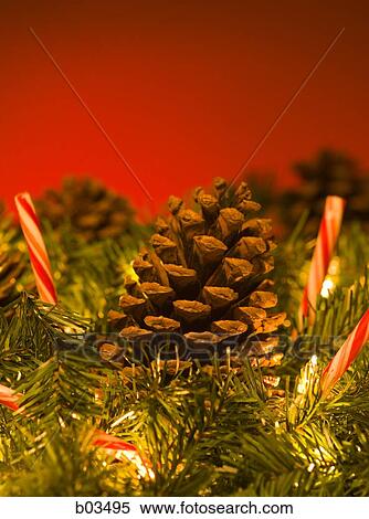 Christmas pine cones View Large Photo Image Stock Photography - Christmas pine cones. Fotosearch