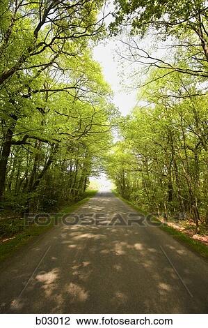 Country road View Large Photo Image Stock Image - Country road. Fotosearch