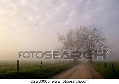Stock Photography - Country road with clouds and trees. Fotosearch