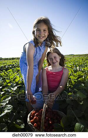 Girls picking strawberries View Large Photo Image Stock Photo - Girls picking strawberries. Fotosearch