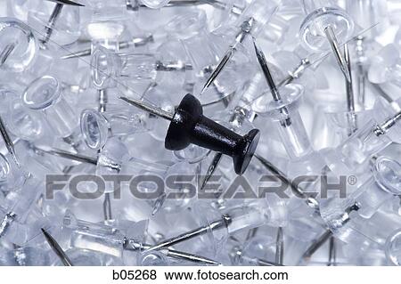 One black pushpin in a heap of clear pushpins View Large Photo Image Stock Photo - One black pushpin in a heap of clear pushpins. Fotosearch