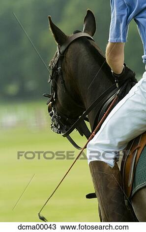 Stock Image - Polo player. Fotosearch