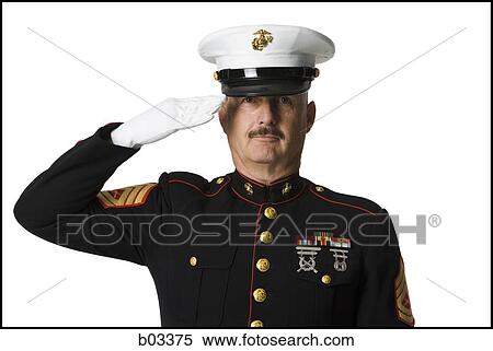 Portrait of military man saluting View Large Photo Image Stock Photography - Portrait of military man saluting. Fotosearch