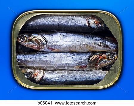 Stock Image - Sardines in a tin. Fotosearch