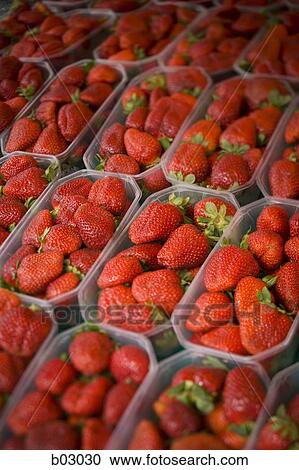 Strawberries in baskets View Large Photo Image Stock Image - Strawberries in baskets. Fotosearch