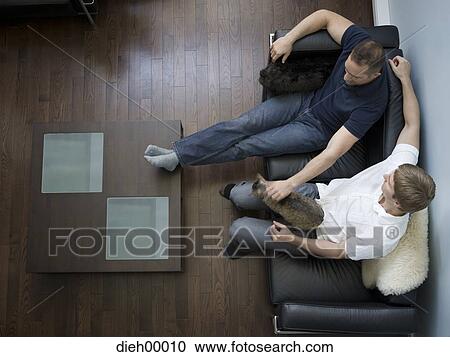 Two men on leather sofa with cat View Large Photo Image Stock Image - Two men on leather sofa with cat. Fotosearch