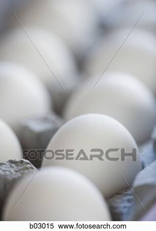 Stock Photography - White eggs in carton. Fotosearch
