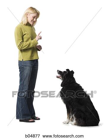 Woman commanding dog to sit View Large Photo Image Stock Photo - Woman commanding dog to sit. Fotosearch