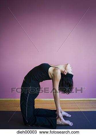 Woman doing yoga with arched back View Large Photo Image Stock Image - Woman doing yoga with arched back. Fotosearch