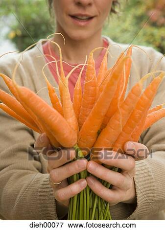 Woman holding carrots View Large Photo Image Stock Photo - Woman holding carrots. Fotosearch